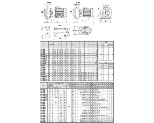 Насос моноблочний IR 40-125A 3,0 кВт SAER (40 м3/год, 27,5 м) - SAER